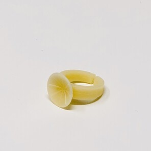 EZi Scleral Inserter Ring